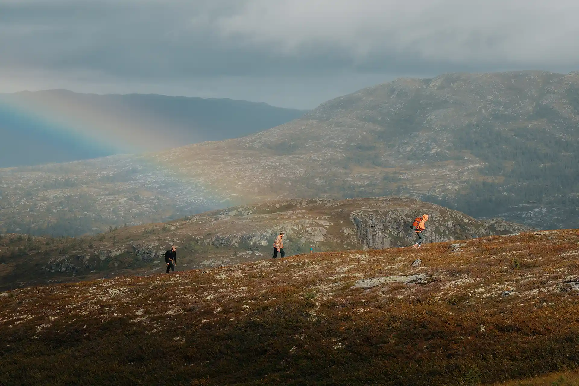 Turufjell Trail – løp i fjellet